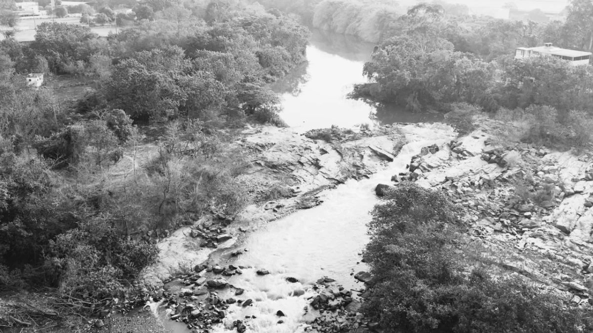 rio pará divinópolis