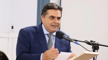 domingos sávio deputado federal